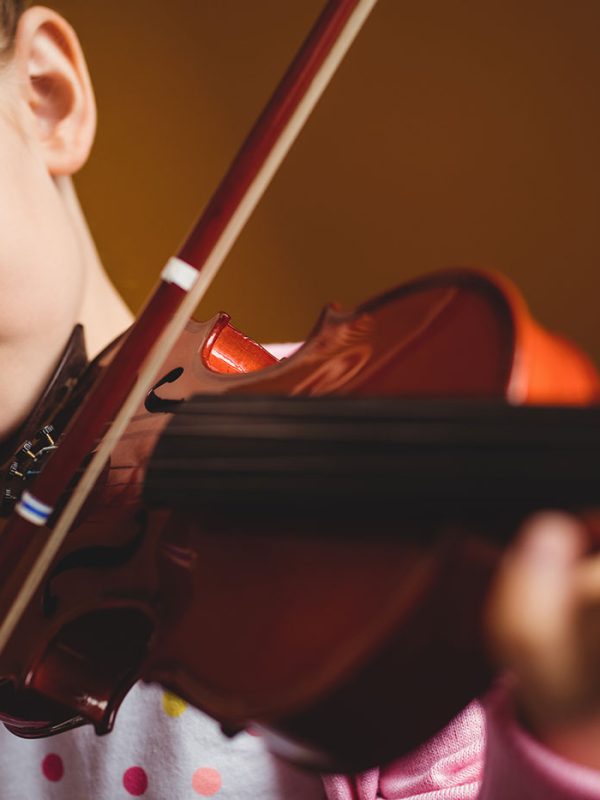 Violin